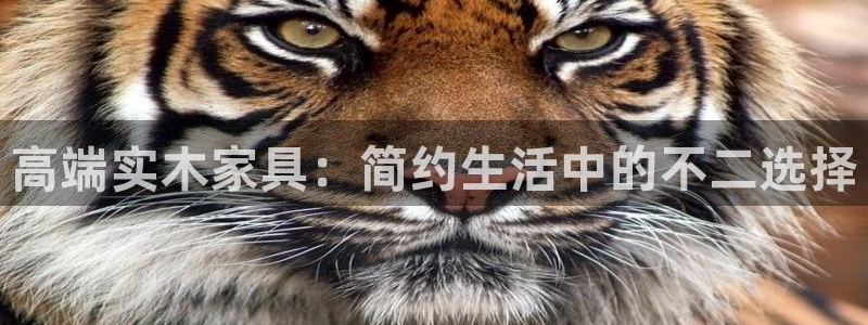 球盟会进不去