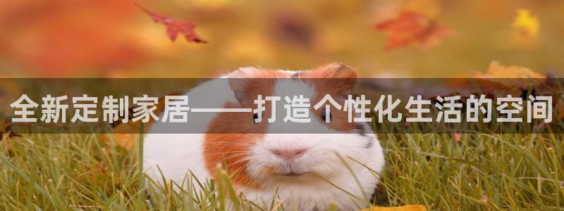 球盟会官方网入口