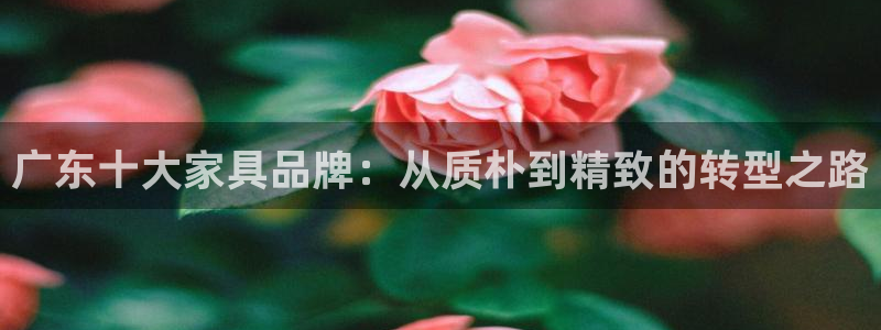球盟会APP官网