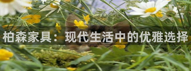 球盟会app安装