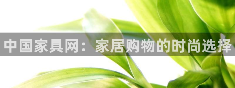 球盟会下载最新版