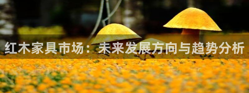 球盟会和中欧合作吗