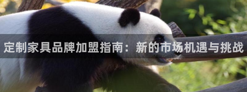 球盟会用的客服聊天是哪个软件