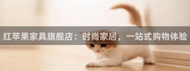 球盟会APP下载