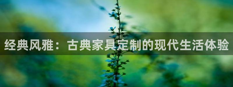 球盟会入口