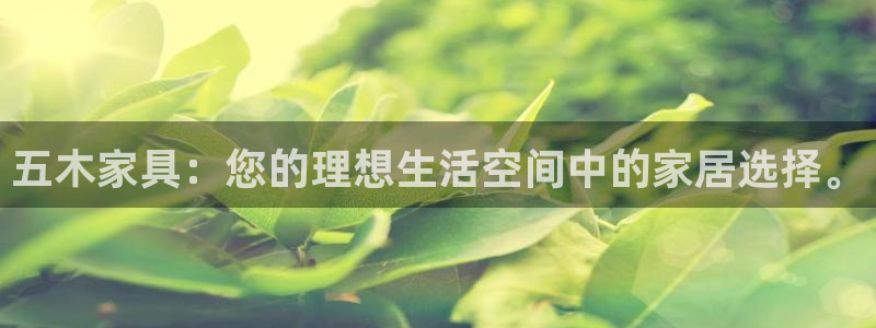 球盟会优惠券