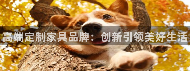球盟会贴吧