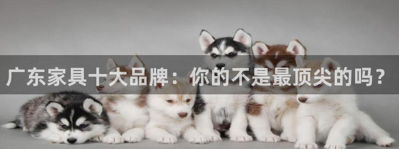 球盟会网址