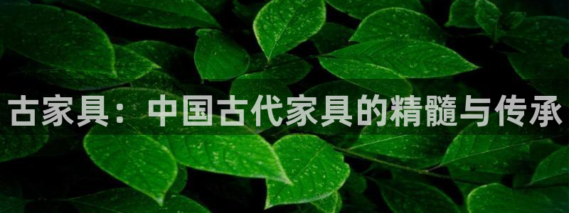 球盟会黑款吗知乎