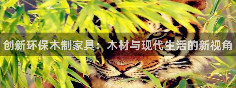 球盟会黑款吗