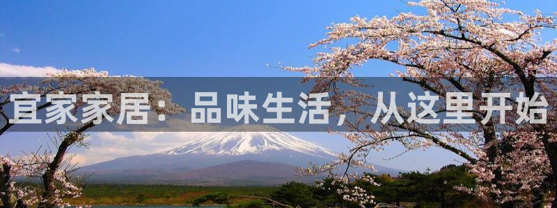 球盟会电子好黑