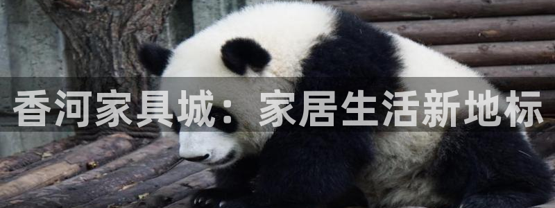 球盟会黑台子