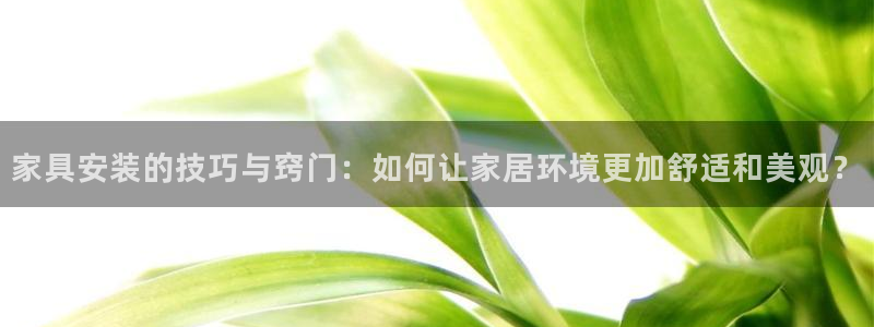 球盟会黑台子