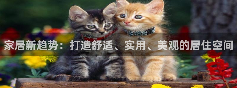 球盟会平台会黑单吗