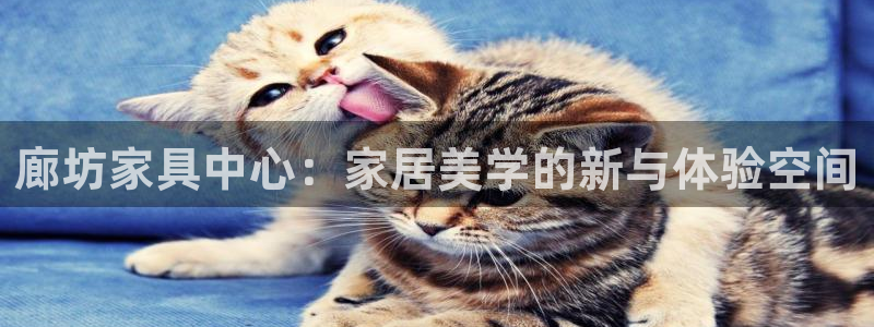 球盟会黑款吗