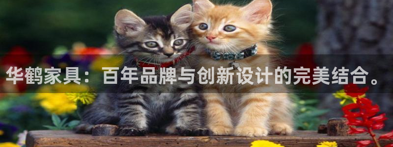 球盟会官网入口
