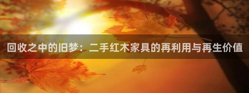球盟会