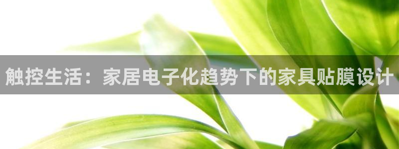 球盟会app最新地址在哪看