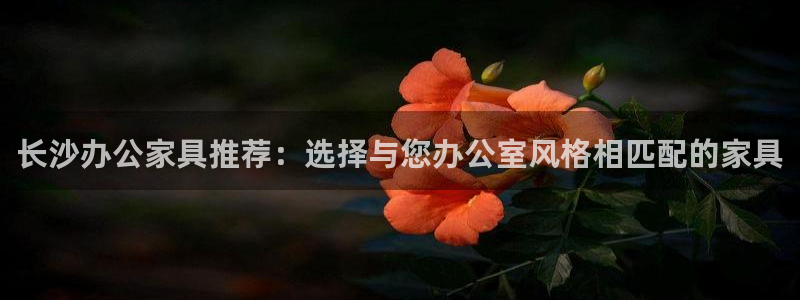 球盟会综合体育平台怎么样