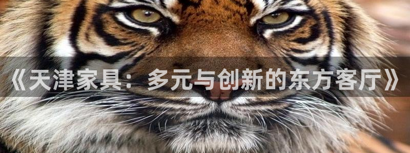球盟会黑台子吗