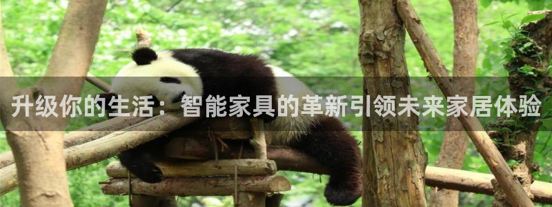 球盟会app网址多少号