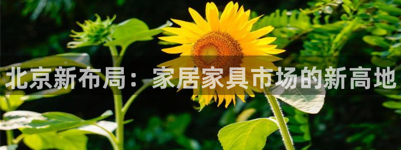 球盟会优惠券