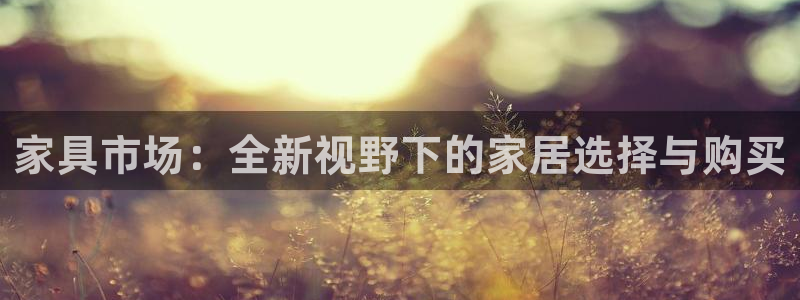 球盟会吧