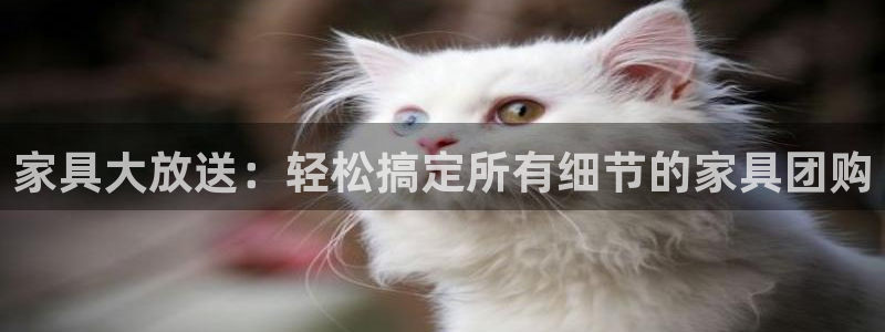 球盟会封号