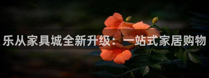 球盟会黑台子