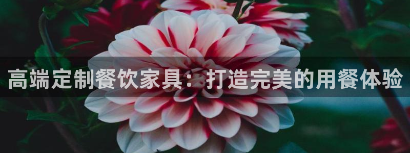 球盟会进不去吗