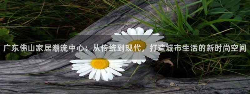 球盟会里面有打牌的嘛
