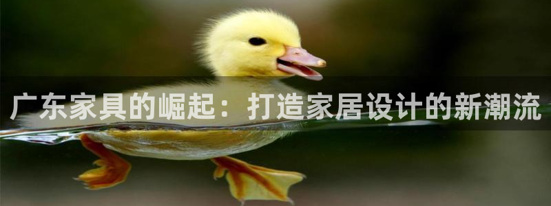 球盟会官方网入口