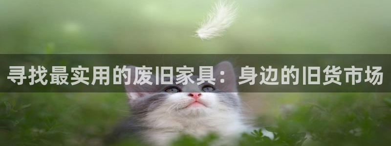 球盟会官方下载