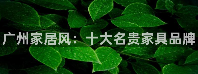 球盟会平台怎么样