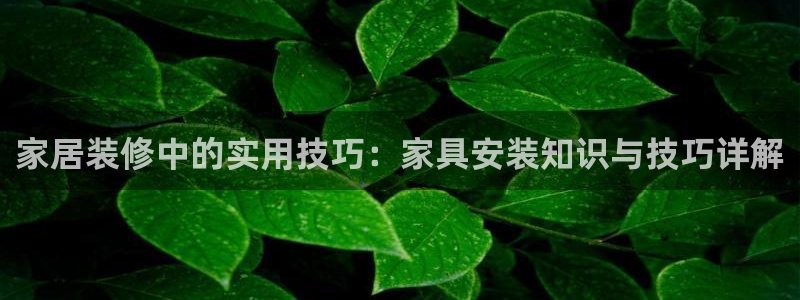 球盟会在线登录官网：家居装修中的实用技巧：家具安装知识与技巧
