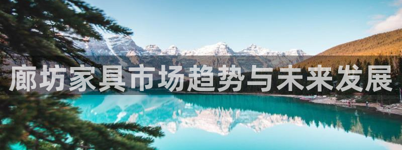 球盟会可以提现么现在