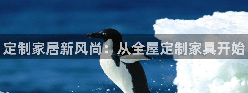 球盟会最新