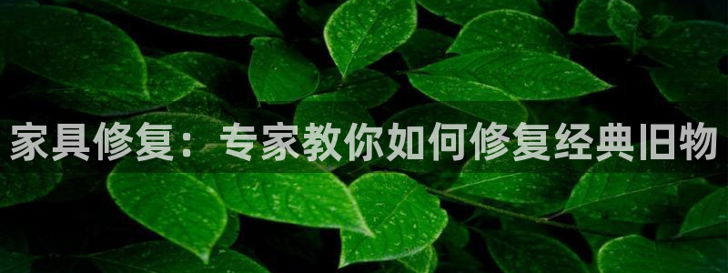 球盟会网页登录app下载地址