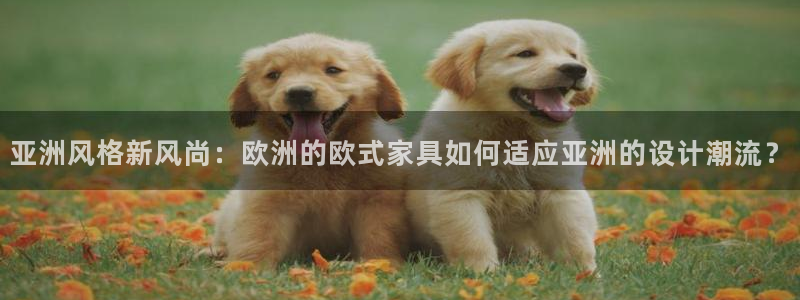 球盟会登录平台入口
