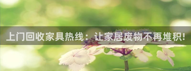 球盟会官方网站入口