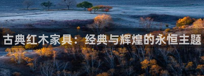球盟会在线登入：古典红木家具：经典与辉煌的永恒主题