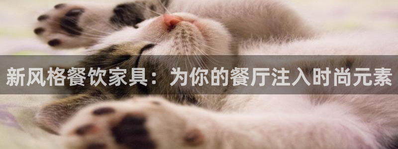 球盟会黑网