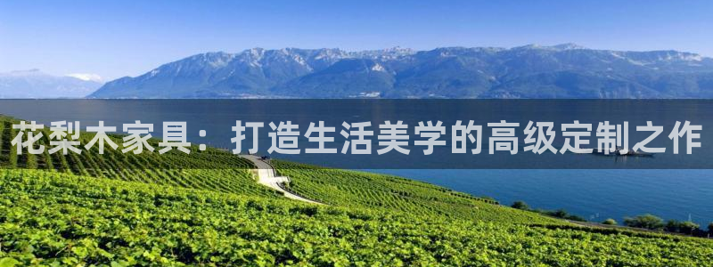 球盟会乐虎