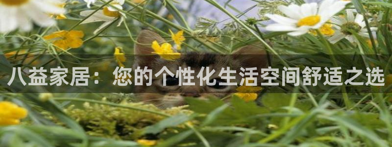 球盟会平台会黑单吗