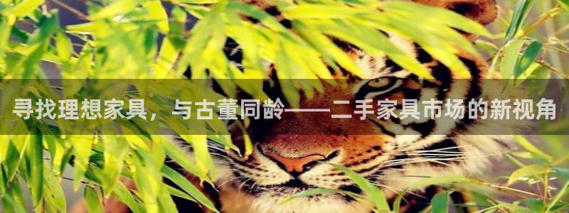 球盟会优惠码