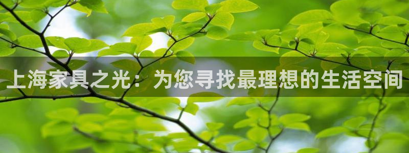 球盟会官方网站入口