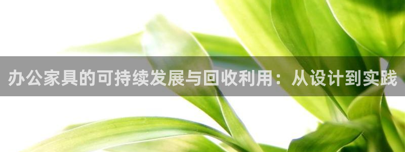 球盟会黑款吗知乎小说