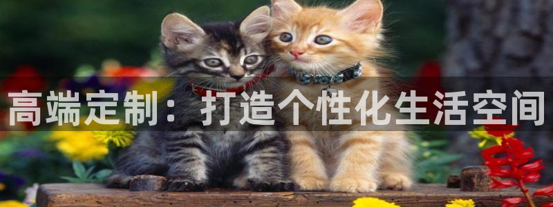 球盟会app最新地址在哪找
