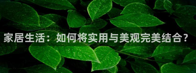 球盟会综合体育平台