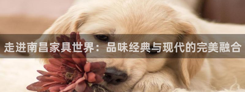 球盟会论坛